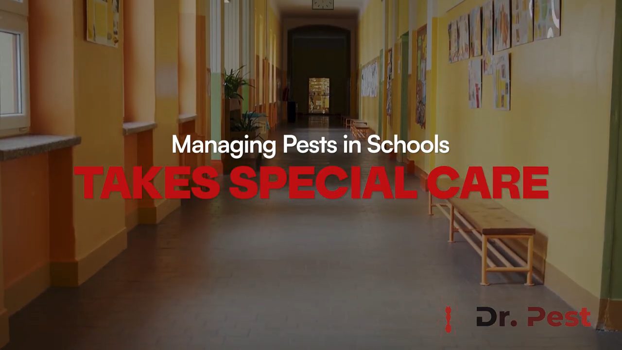 southern-california-school-pest-control