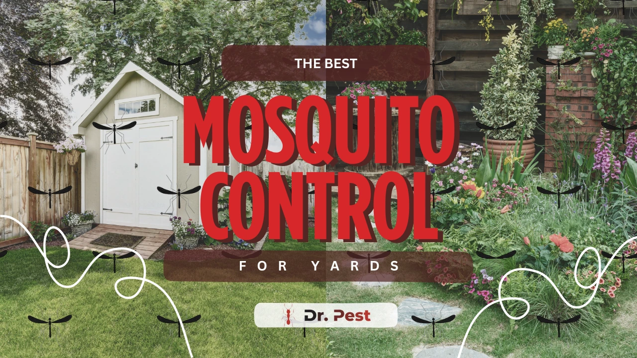 Best Mosquito Control for Yards