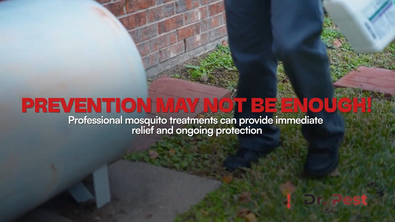 mosquito-control-for-yards-dr-pest-southern-california