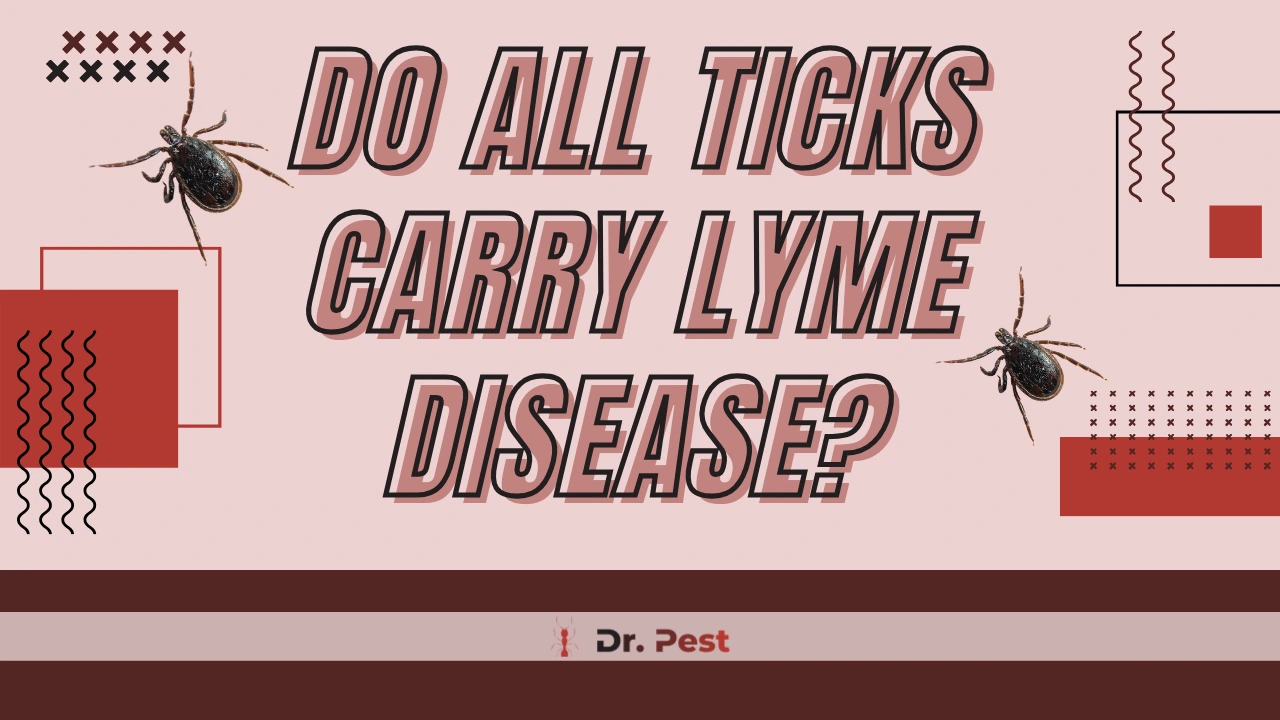 Do All Ticks Carry Lyme Disease – Tick Risks and Prevention
