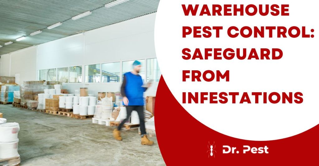 Warehouse Pest Control Guide: How to Prevent and Eliminate Pests in ...
